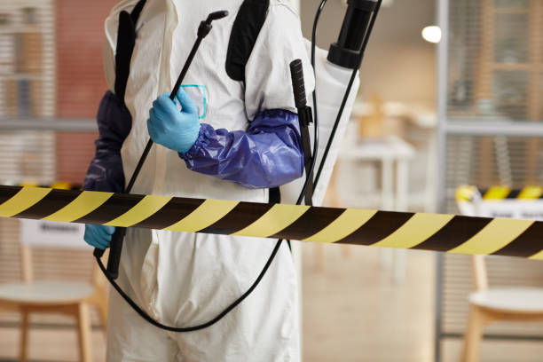 Professional Sewage Cleanup technician working in Greenville, IL